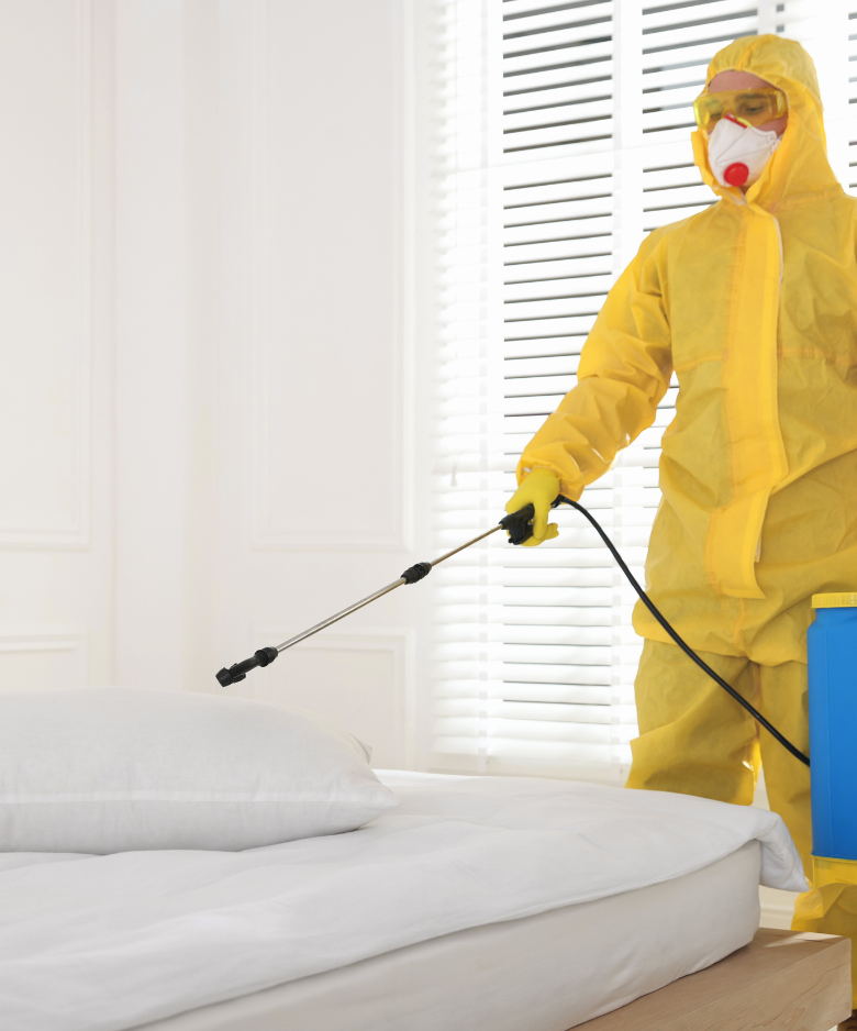 Professional Pest Control Team in Christie Downs